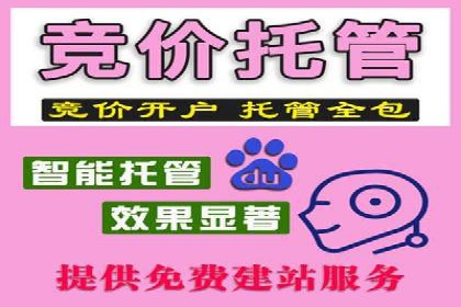 某某sem广告公司专案解读：SEM在旅游行业的成功实践